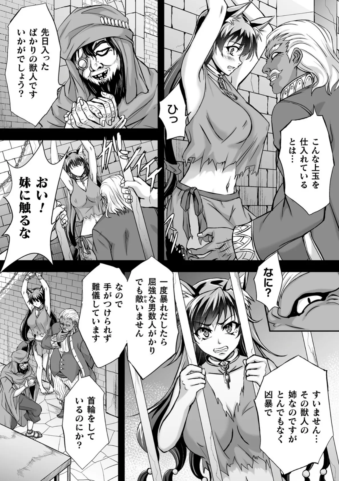 闇闘技場 〜捕らわれた獣人姉妹〜【単話】 3ページ